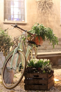 design art food le formiche roma i like bike